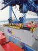 FedEx Trade Networks Türkiye’deki 1’inci Yaşını Kutluyor